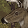 custom by #5387: A male whitetailed deer. 